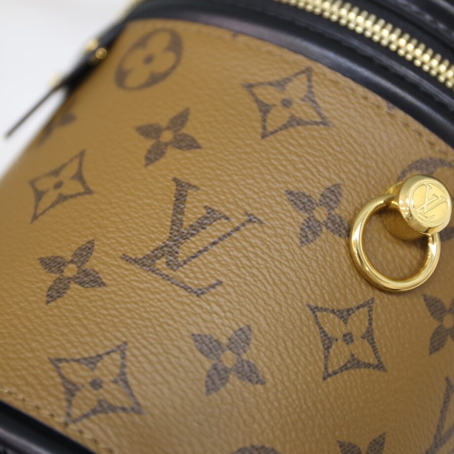 Louis Vuitton M43986 Cannes Handbag