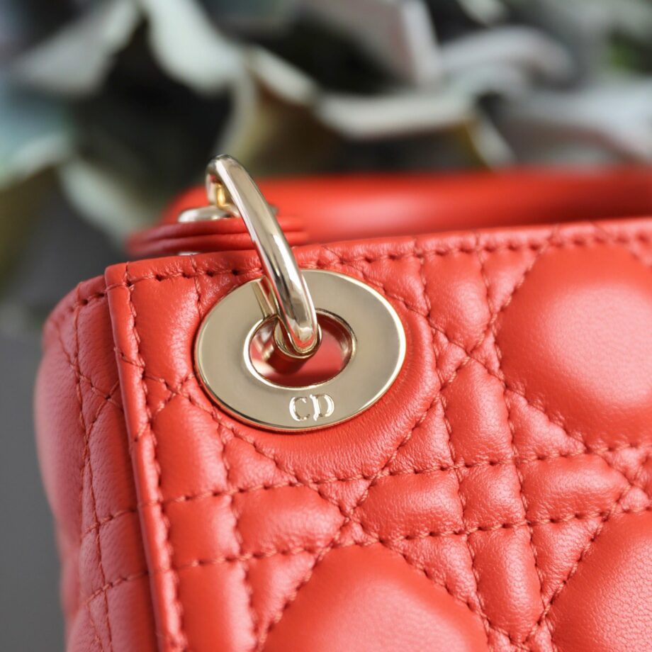 Dior S0856 Orange Lady Dior Micro Bag