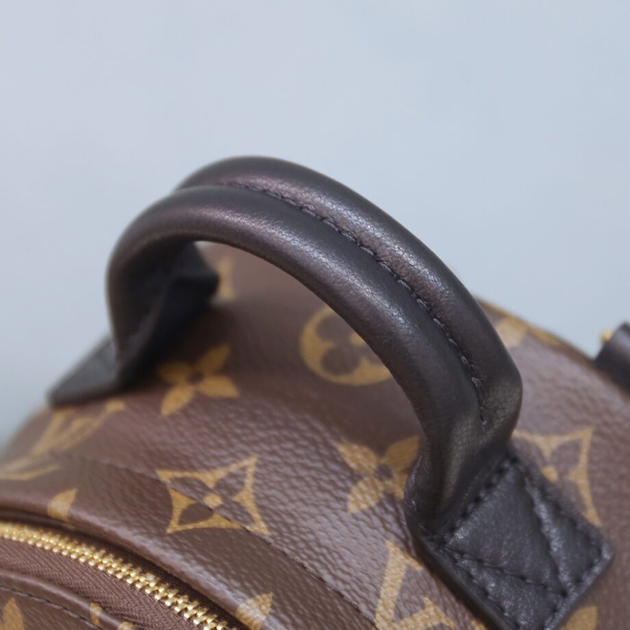 Louis Vuitton M44873 Palm Springs Mini Backpack