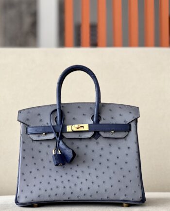 HermèS Birkin25 Gray /Iris Tectorum Purple Handmade Ostrich Skin Birkin 25cm