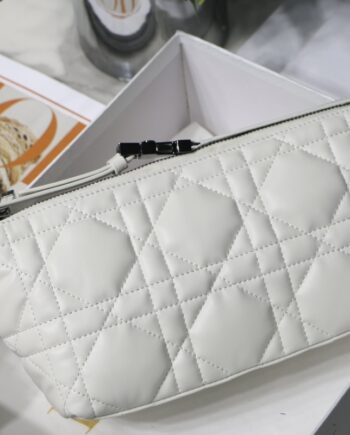 dior m7003 diortravel nomad clutch