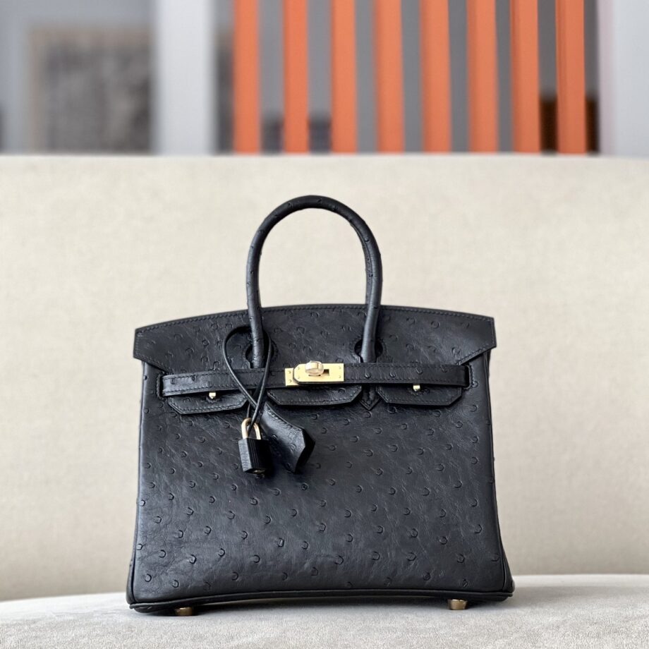 HermèS Birkin25 Black Handmade Ostrich Skin Birkin 25cm