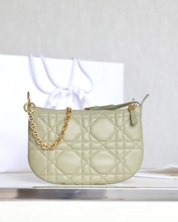 Dior 021 Gray Green Caro Tulip Handbag