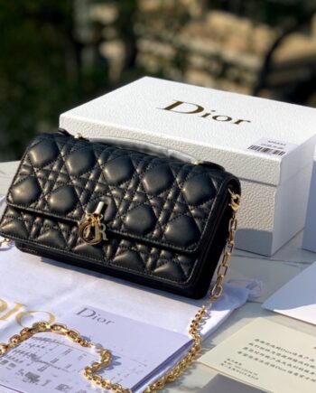 dior s0980onmj mini miss dior bag