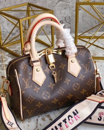 louis vuitton m46234 speedy