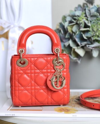 Dior S0856 Orange Lady Dior Micro Bag