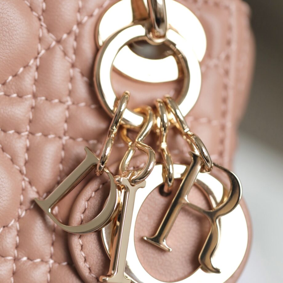 Dior S0856 Pink Lady Dior Micro Bag