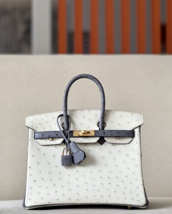 HermèS Birkin25 White/Gray Handmade Ostrich Skin Birkin 25cm